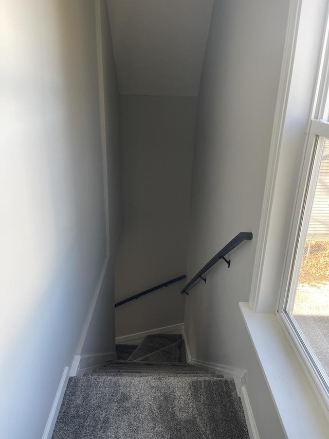 stairway with carpet floors