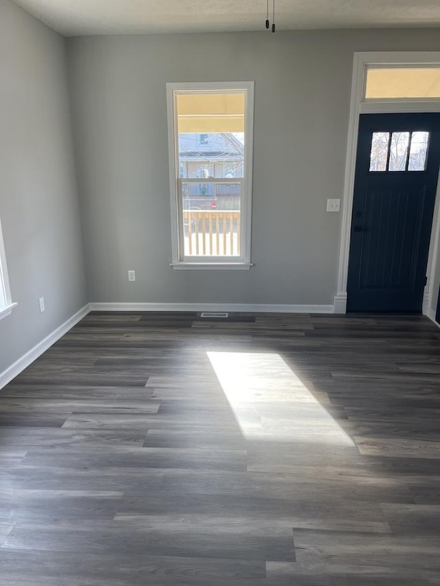 entryway featuring dark wood-type flooring