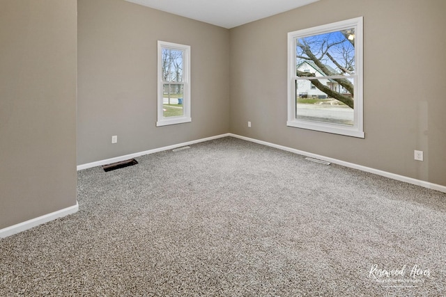 carpeted spare room with a healthy amount of sunlight