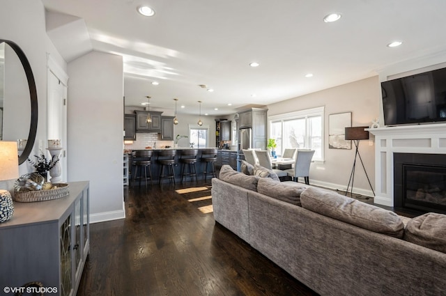 living room with dark wood-type flooring