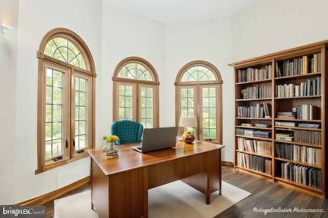 35161 N Indian Trl, Ingleside, IL 60041 - office space with dark wood-style floors and a wealth of natural light