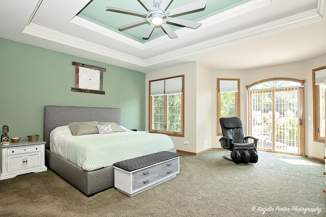 35161 N Indian Trl, Ingleside, IL 60041 - carpeted bedroom featuring multiple windows, a raised ceiling, baseboards, and access to outside