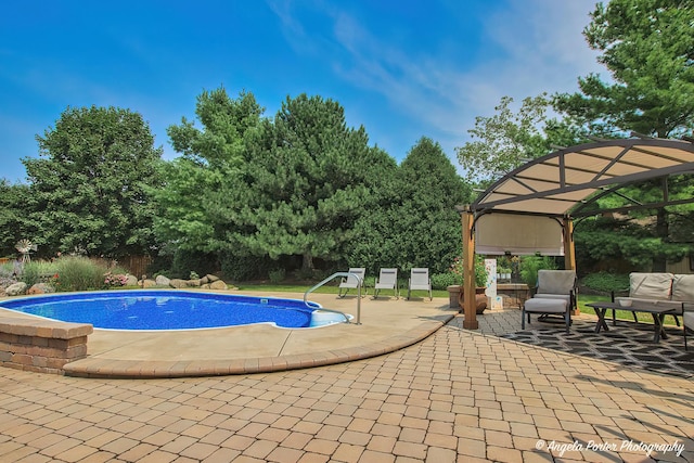 35161 N Indian Trl, Ingleside, IL 60041 - view of pool featuring a patio and a fenced in pool