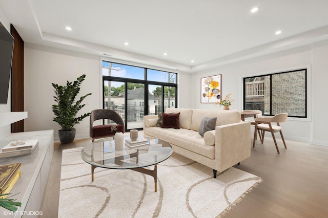 living room with light wood-type flooring and a tray ceiling