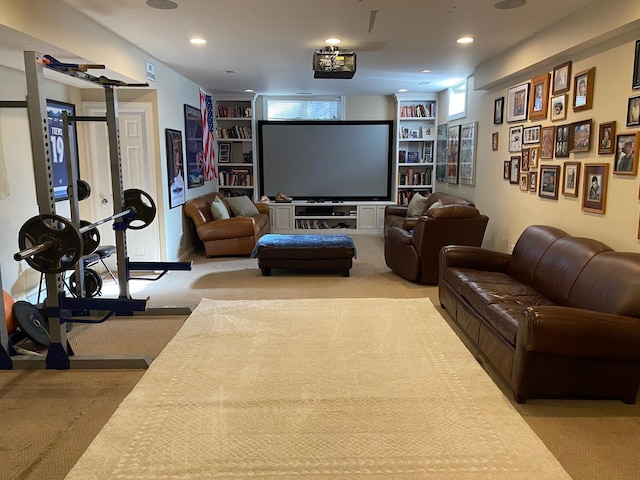 cinema with built in shelves and light colored carpet