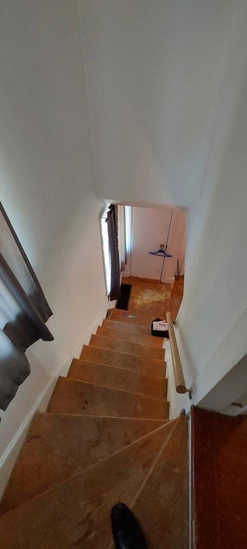 staircase with wood-type flooring