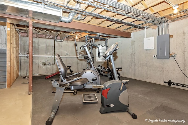 exercise area with electric panel