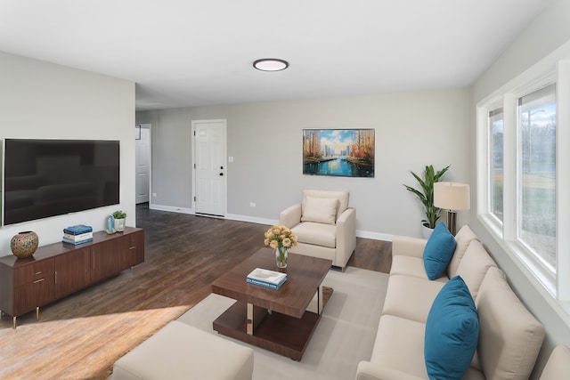 living room with wood-type flooring