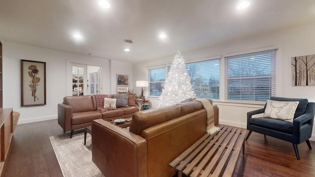 living room with dark hardwood / wood-style floors