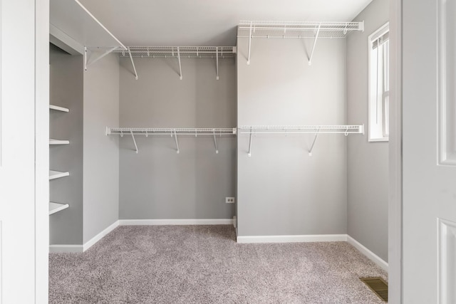 walk in closet featuring light colored carpet