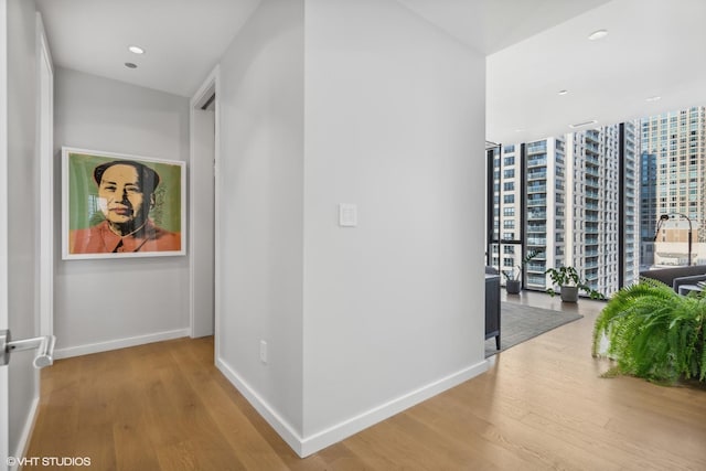 corridor featuring hardwood / wood-style flooring and floor to ceiling windows