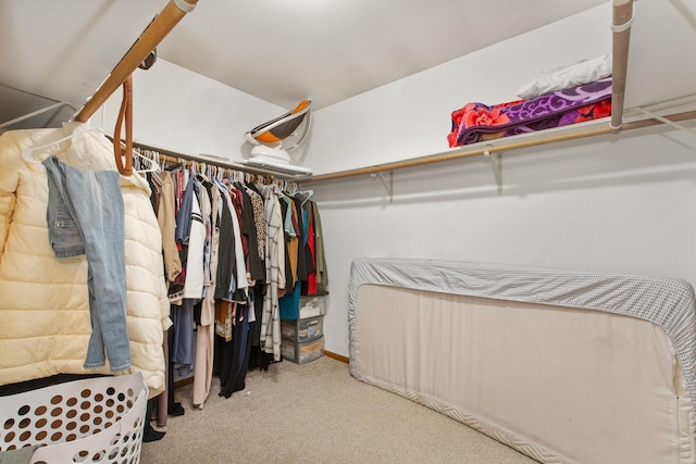 spacious closet with light carpet