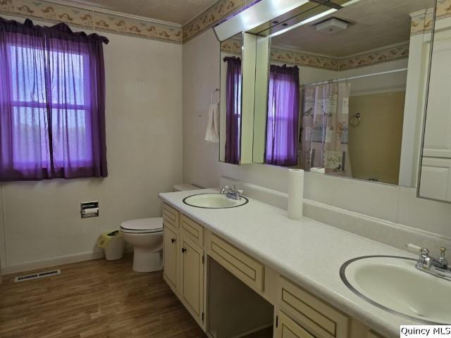 bathroom featuring walk in shower, wood-type flooring, toilet, and vanity