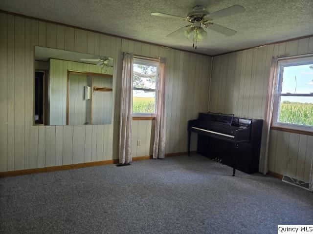 miscellaneous room featuring ceiling fan, carpet, and a textured ceiling