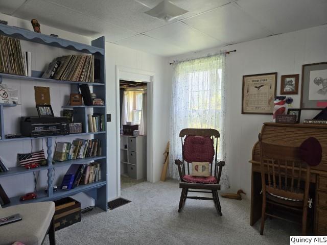 sitting room with carpet