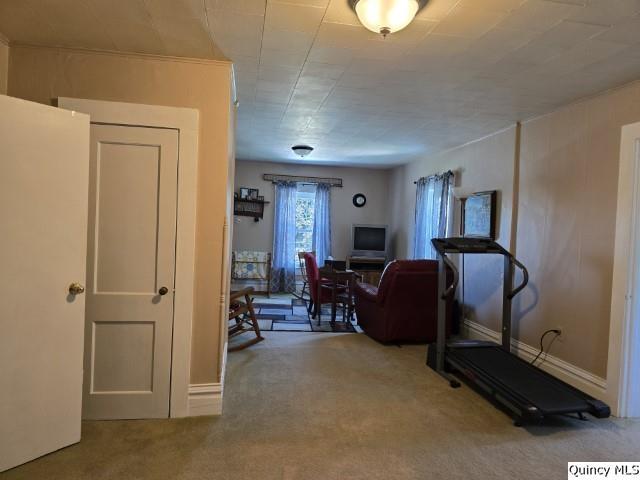 workout area with carpet