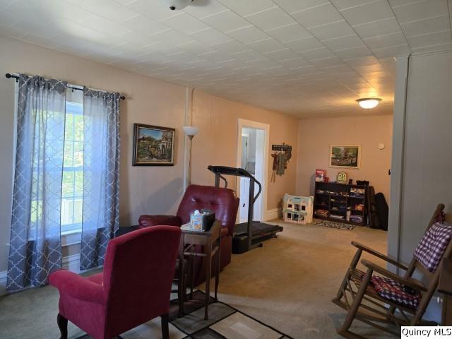 interior space featuring carpet floors