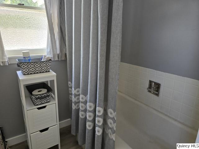 bathroom featuring hardwood / wood-style floors