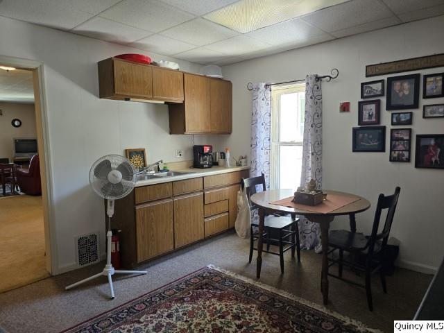 kitchen featuring light carpet, sink, and a paneled ceiling