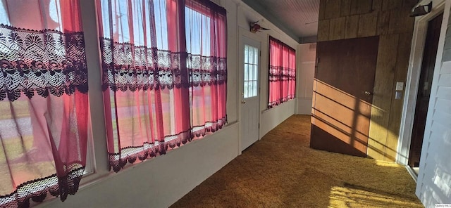 401 N 2nd St, La Harpe, IL 61450 - corridor with plenty of natural light and carpet