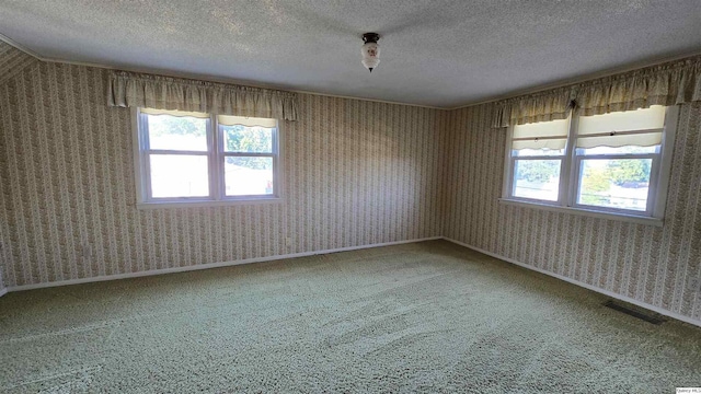 carpeted empty room with a textured ceiling and a wealth of natural light