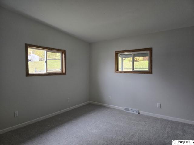 empty room featuring lofted ceiling and carpet floors