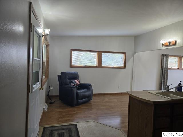 sitting room featuring sink and hardwood / wood-style floors