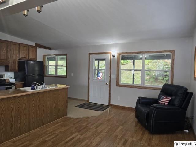 kitchen with sink, hardwood / wood-style floors, a wealth of natural light, black fridge, and stainless steel electric stove