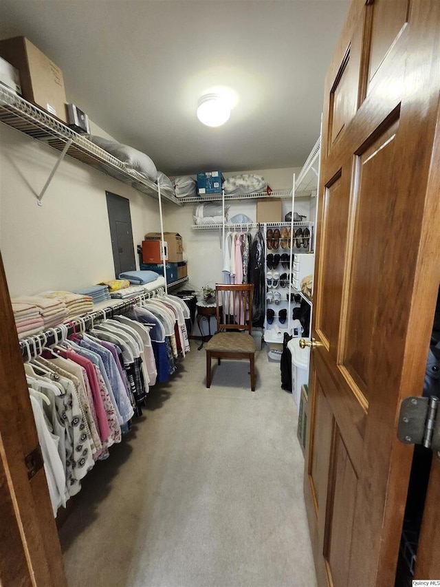 spacious closet featuring carpet floors and electric panel