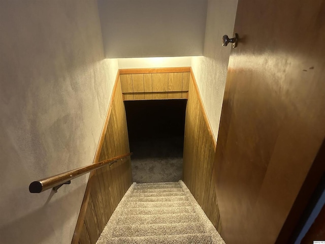 stairway with carpet floors