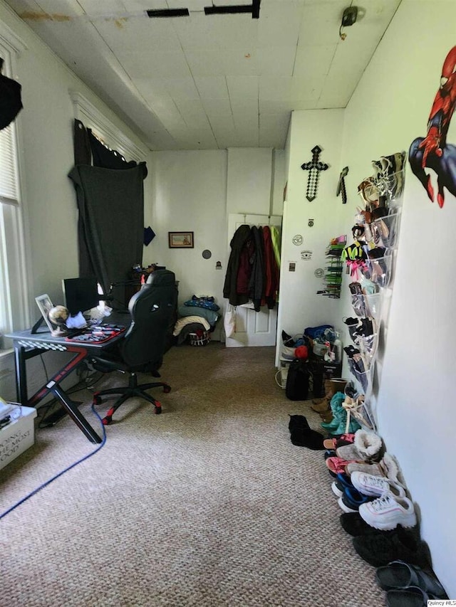 miscellaneous room featuring carpet floors