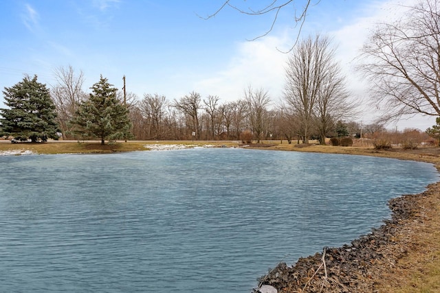 view of water feature