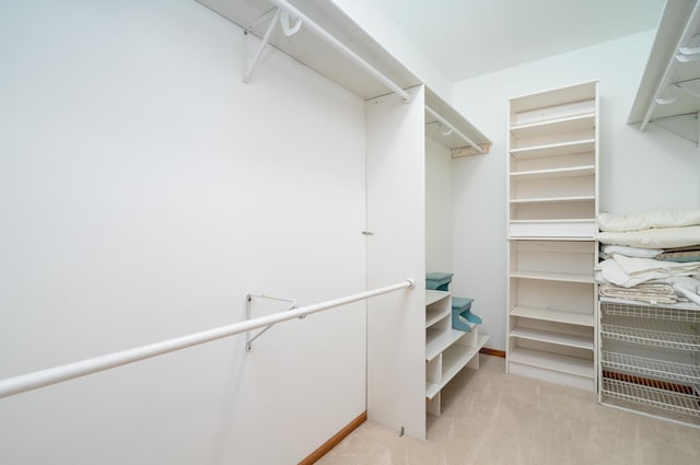 spacious closet featuring light colored carpet