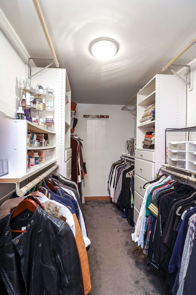 spacious closet featuring carpet flooring