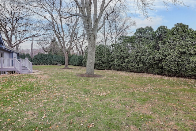 view of yard featuring a deck