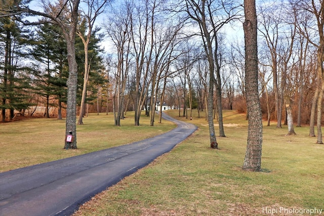 exterior space featuring a lawn