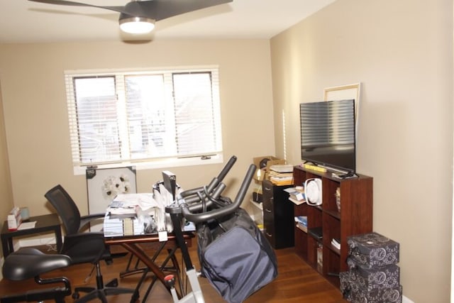 office featuring dark hardwood / wood-style flooring and ceiling fan