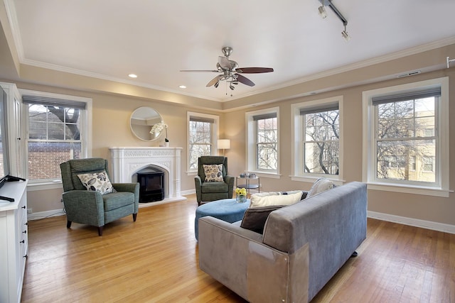 living room with ceiling fan, light hardwood / wood-style flooring, track lighting, and ornamental molding