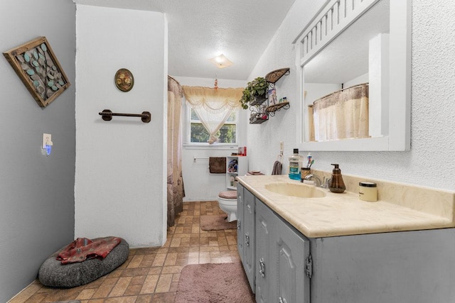 bathroom with vanity, a textured ceiling, toilet, and lofted ceiling