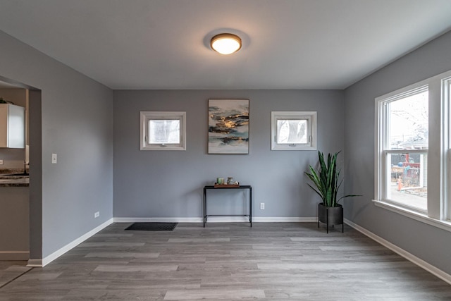 empty room featuring a wealth of natural light and light hardwood / wood-style floors