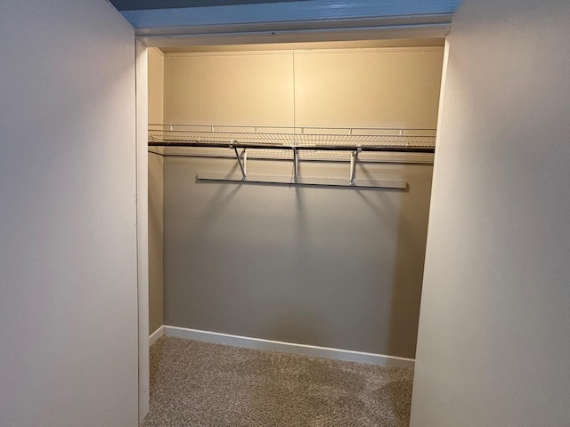 view of closet