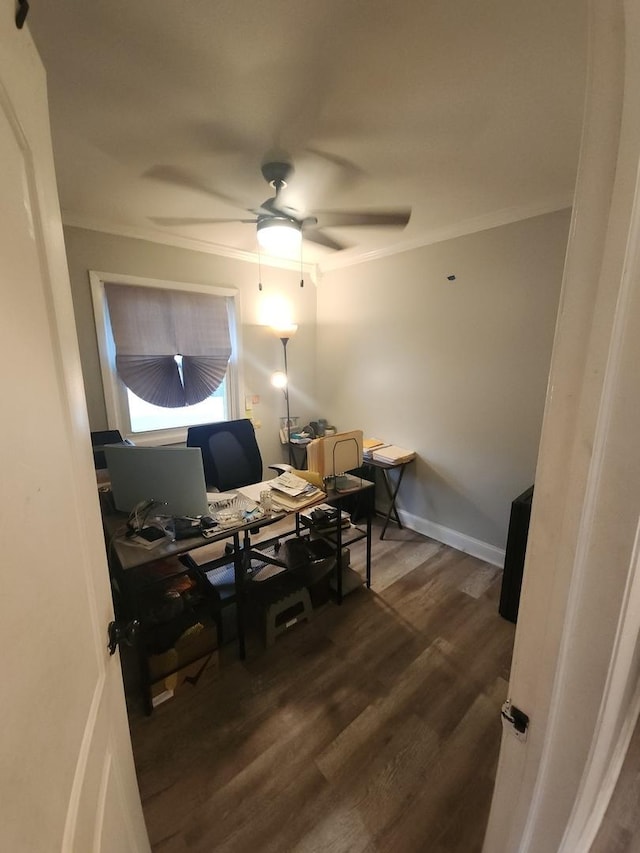 home office with ornamental molding, ceiling fan, and dark wood-type flooring