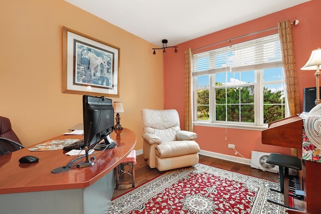 office with wood-type flooring