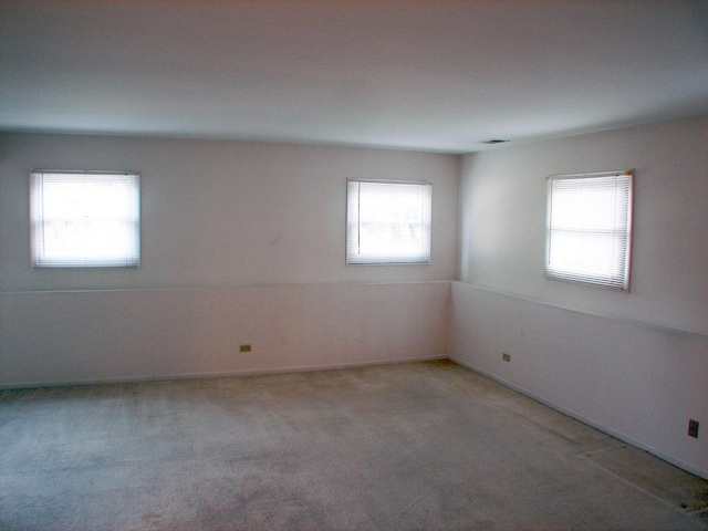 empty room with carpet flooring and a healthy amount of sunlight