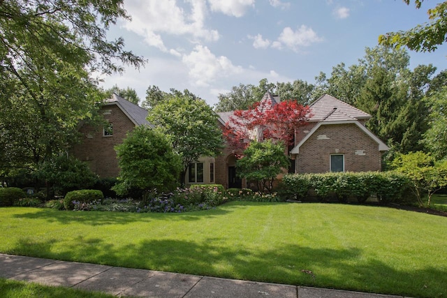 view of property hidden behind natural elements with a front lawn