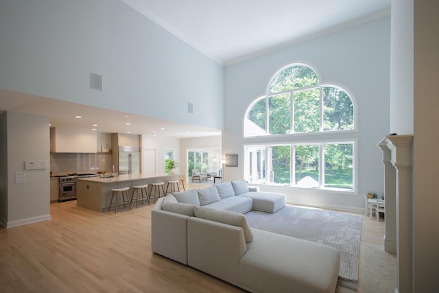 living room with crown molding, light hardwood / wood-style flooring, a high ceiling, and sink