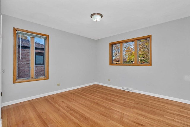 empty room featuring a healthy amount of sunlight and light wood-type flooring