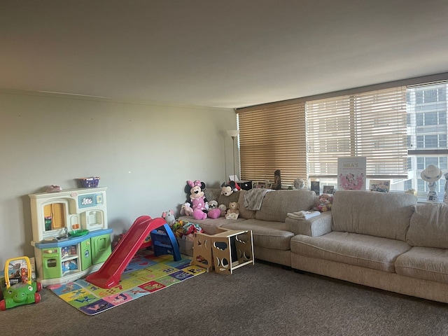 living room featuring carpet