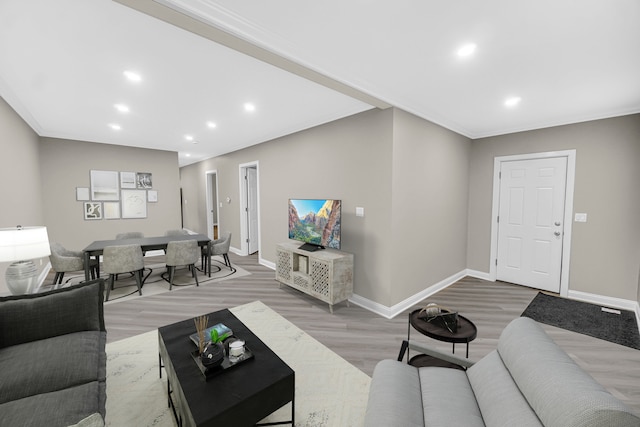 living room featuring wood-type flooring