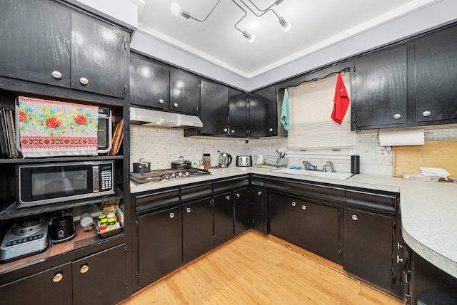 kitchen with tasteful backsplash, sink, light hardwood / wood-style floors, and appliances with stainless steel finishes